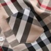 Cautoro Check Print Cotton Poplin Shirt in Beige